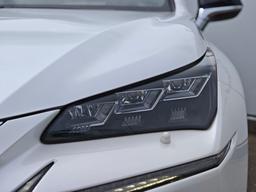 Lexus NX300h